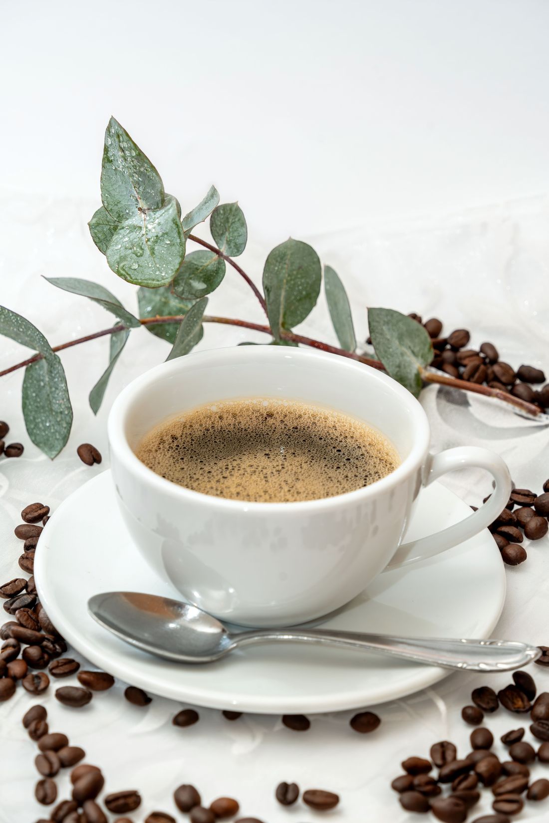 Cafés nutritifs